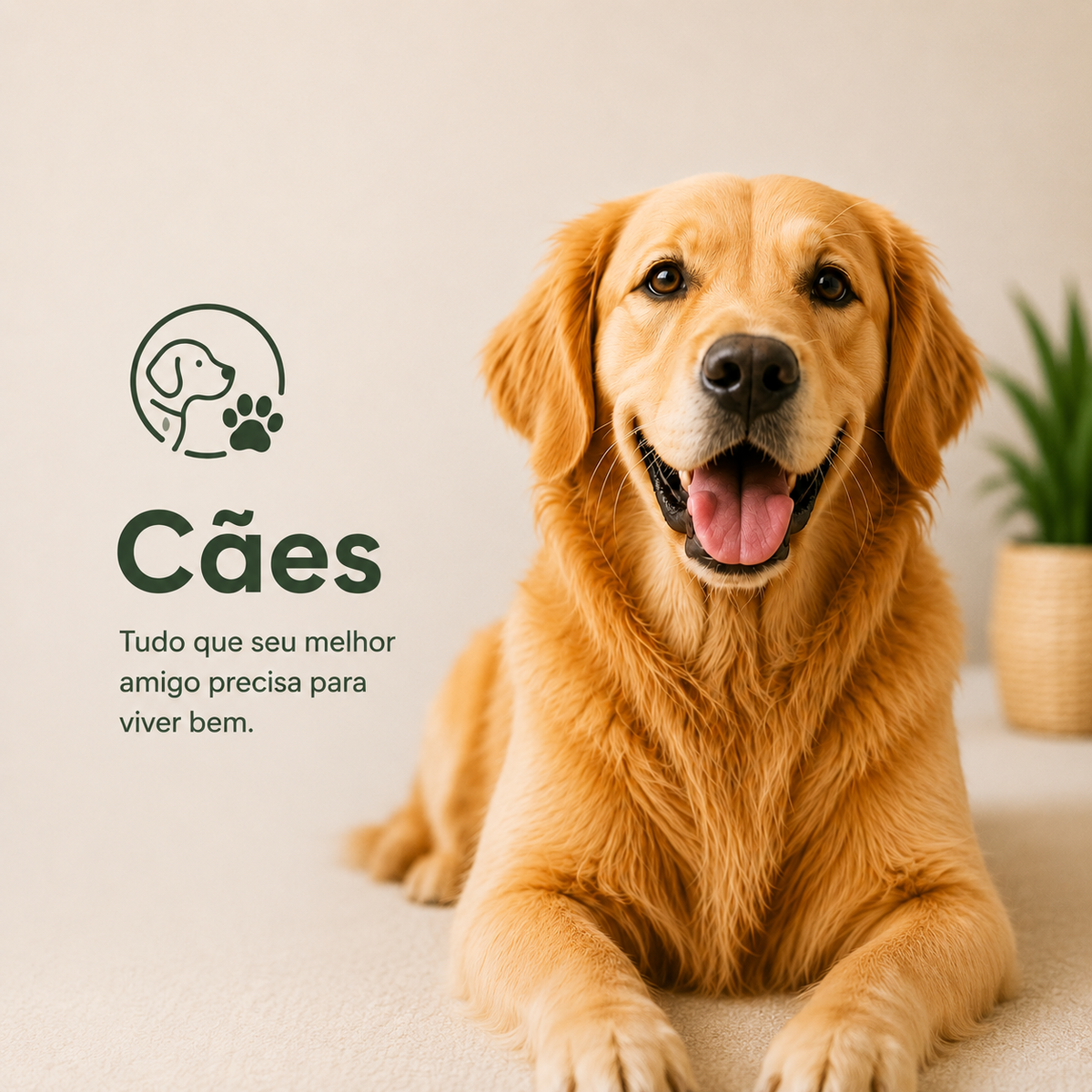 Cães