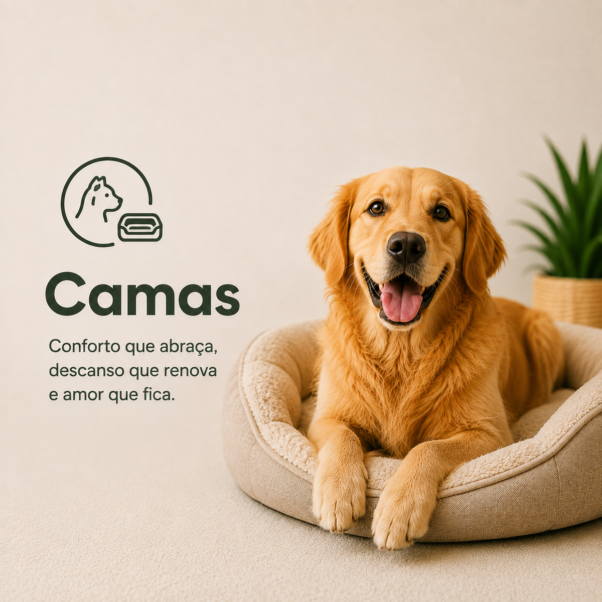 Camas